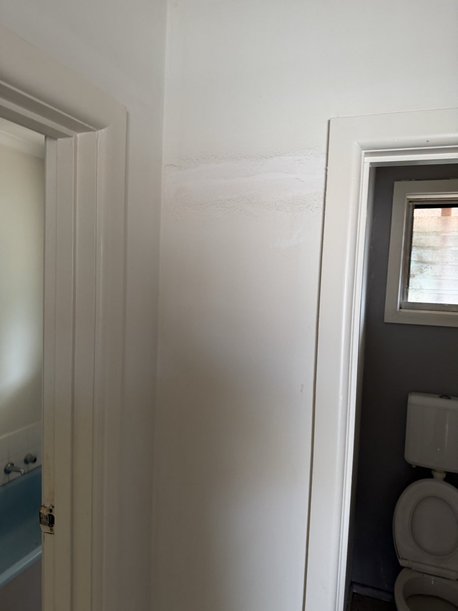 A light-coloured wall between two doorways has a horizontal repaired band.