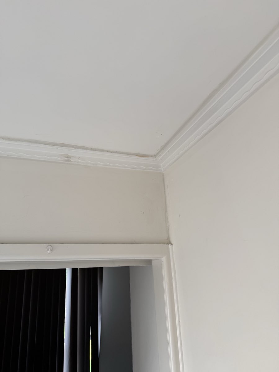A close view shows worn paint and small gaps along a decorative cornice and wall.